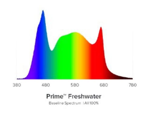 引用　AI Prime Freshwater 16FW